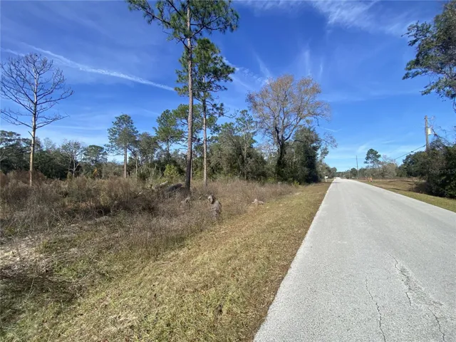 Looking North