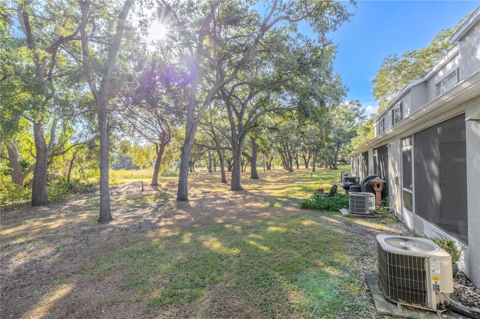 Backyard