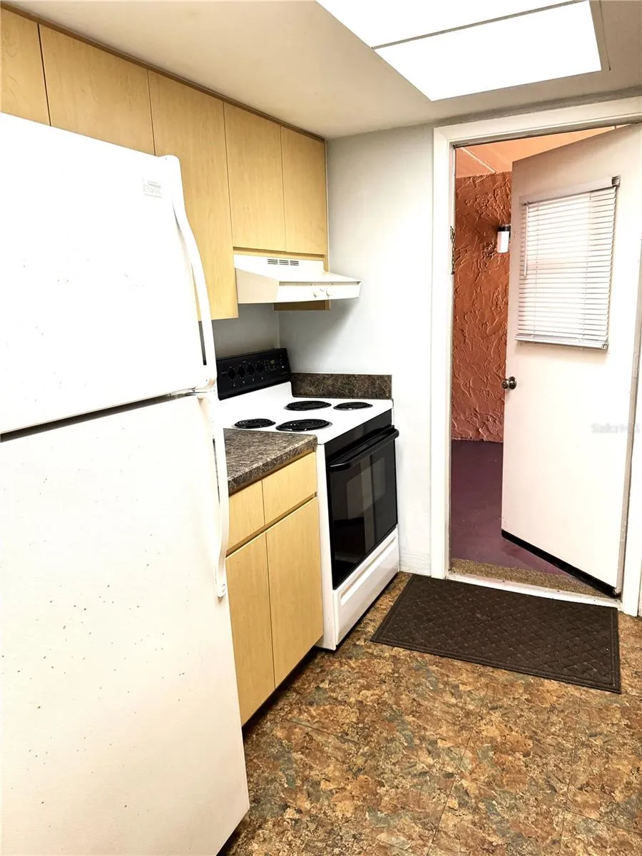 Kitchen &amp; side entrance door
