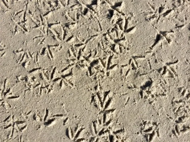 1170
