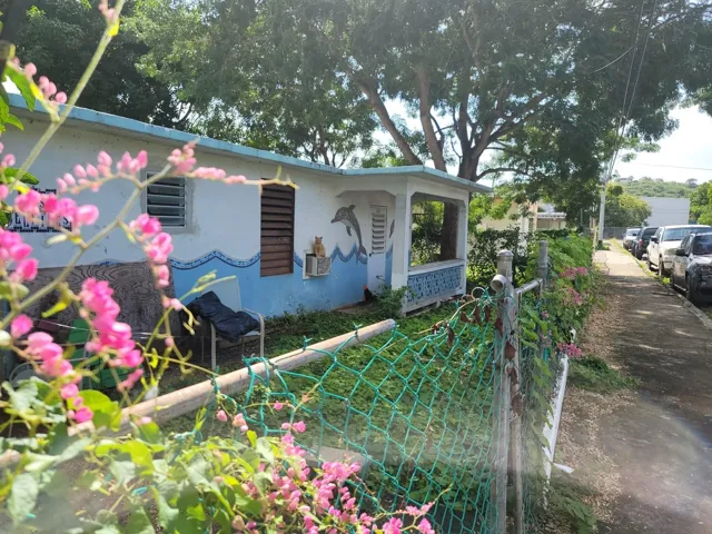 Dolphin House