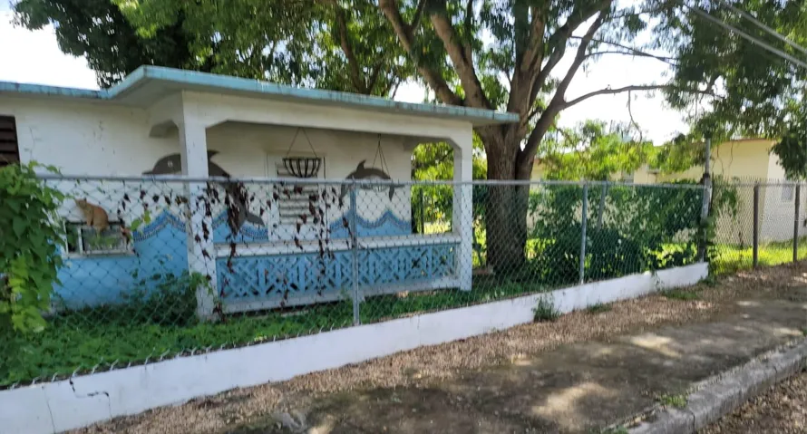 Dolphin House