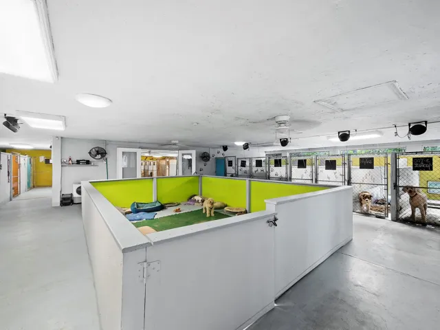 Bright, well-ventilated and thoughtfully designed kennel area