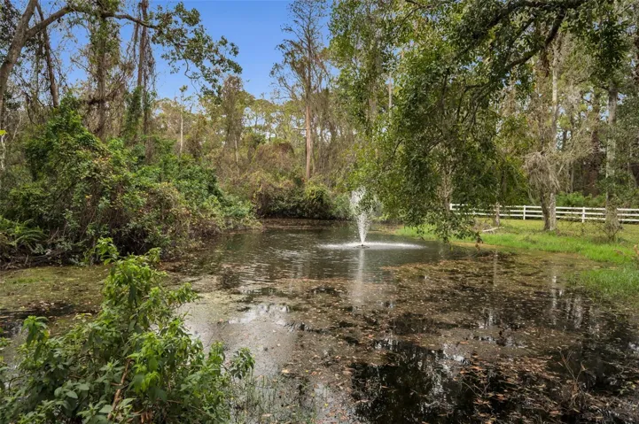 Natural pond stocked with bass!