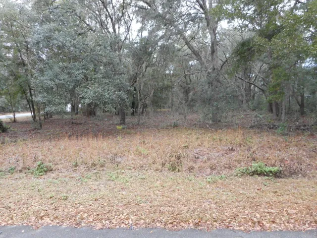 NE Corner