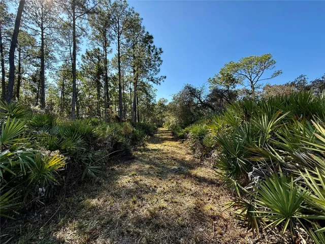 1170