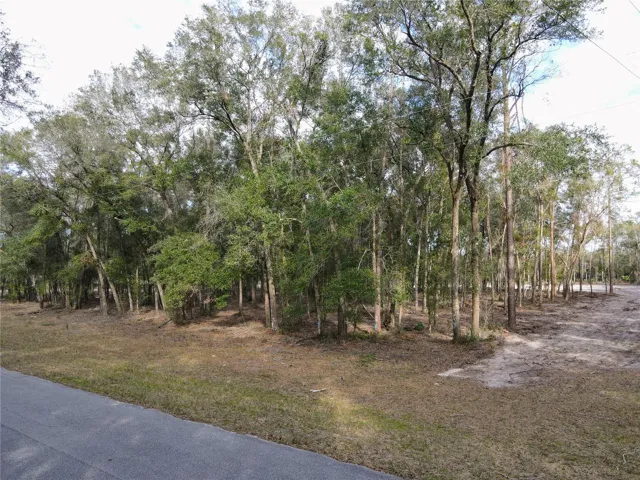 5 high and dry acres. Lane at right leads to cleared building area.