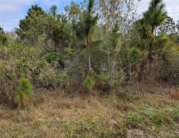 Lot Frontage