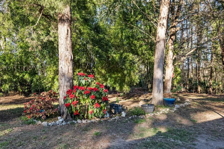 Beautiful landscaping