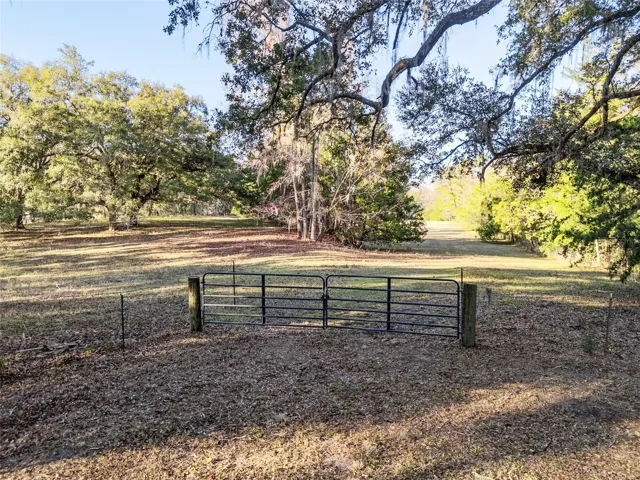 Expansive pastures for livestock