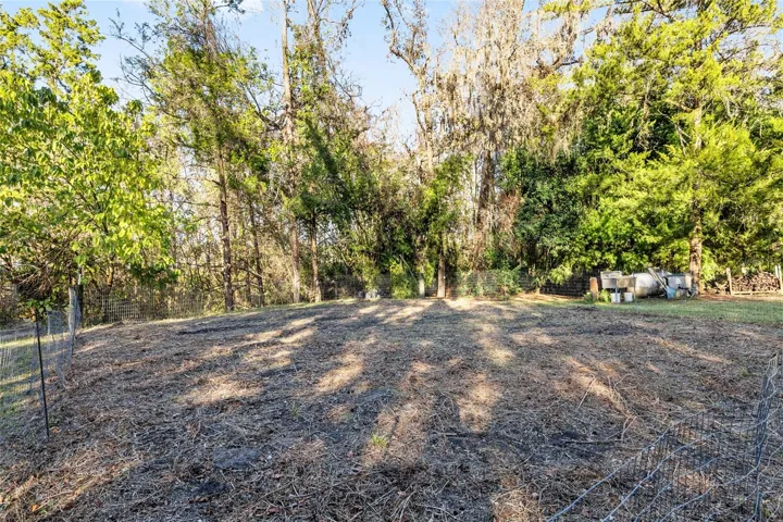 Expansive garden area