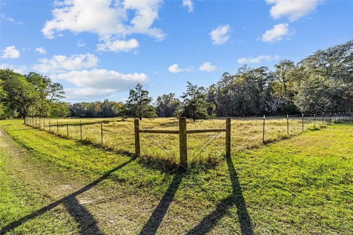 Fenced-in paddock