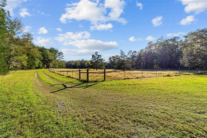 Fenced-in paddock