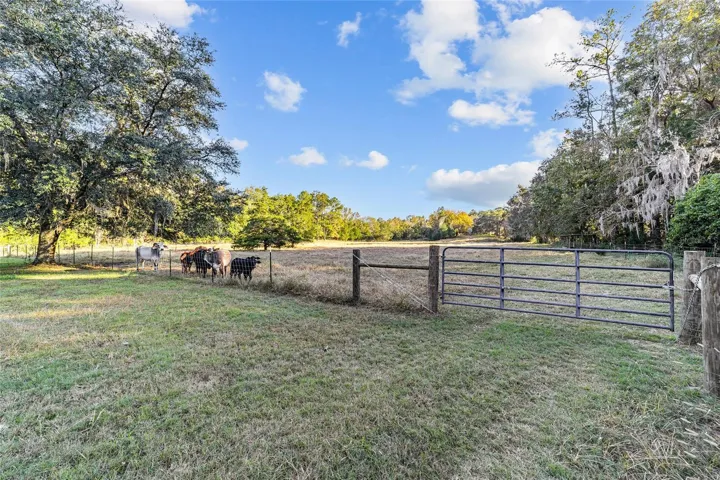 Perfect for grazing animals