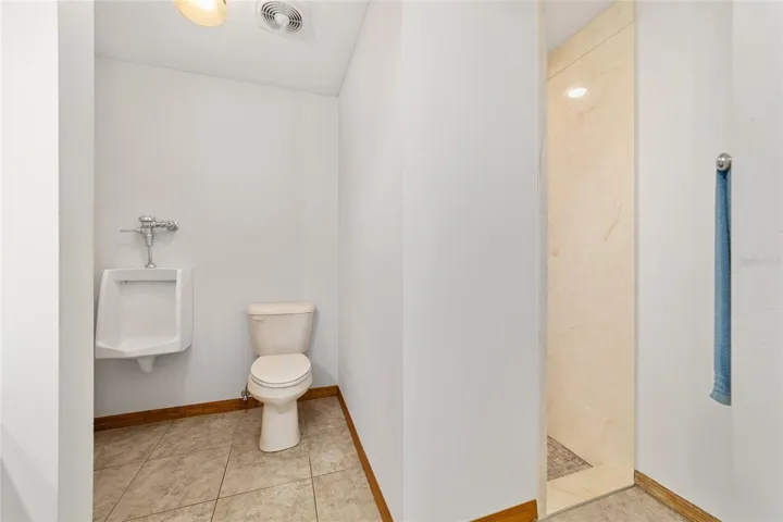 Master bathroom walk-in shower and full bathroom commode
