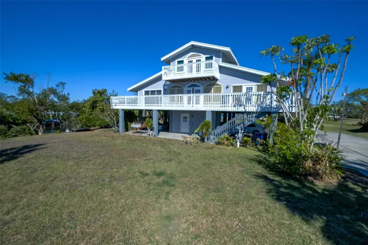 Back yard