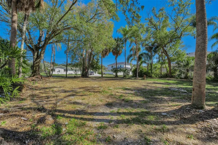 Beautiful 100' x 120' South Tampa Lot!