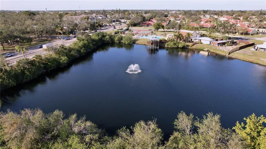 Large pond