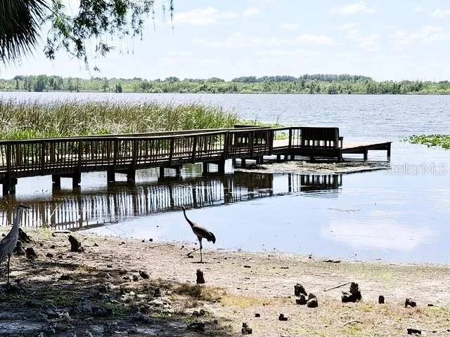 Community dock (or a boat dock)