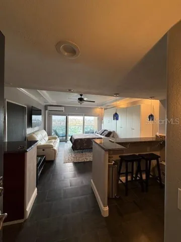 Studio has a sleeper sofa and a murphy bed
