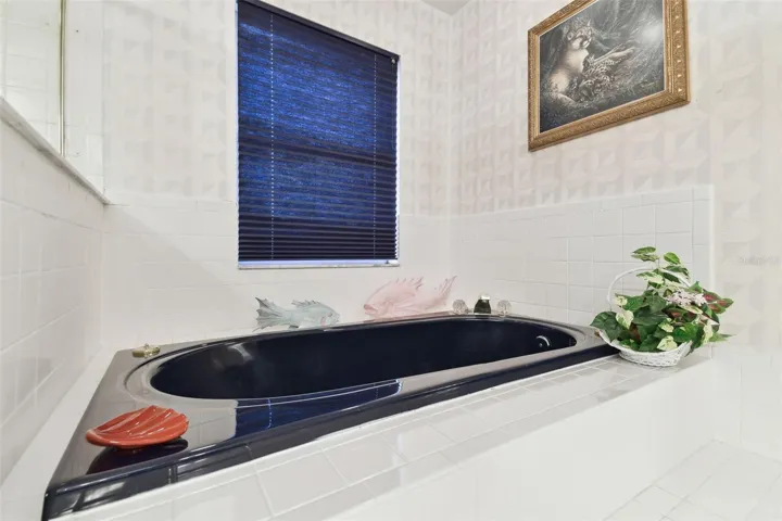 Master bath with tub