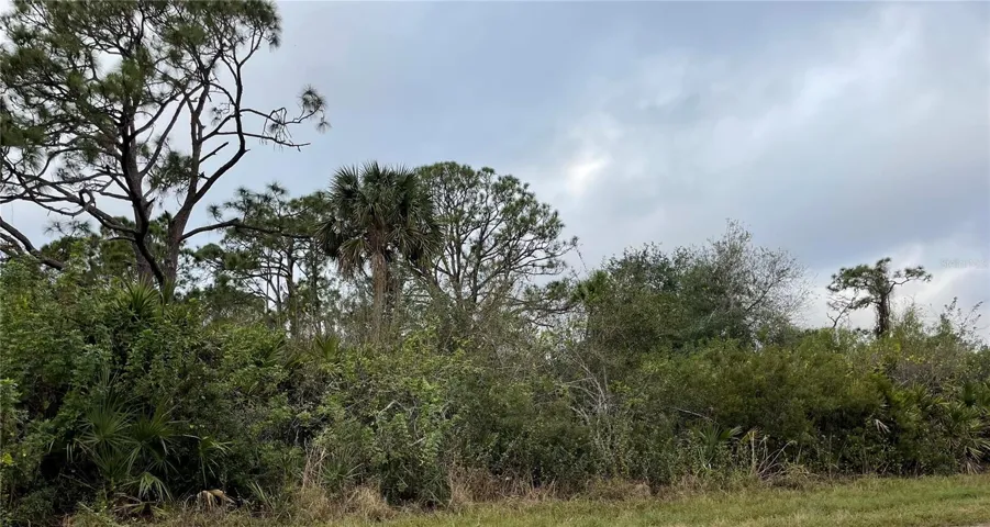 Beautiful Wooded Lot