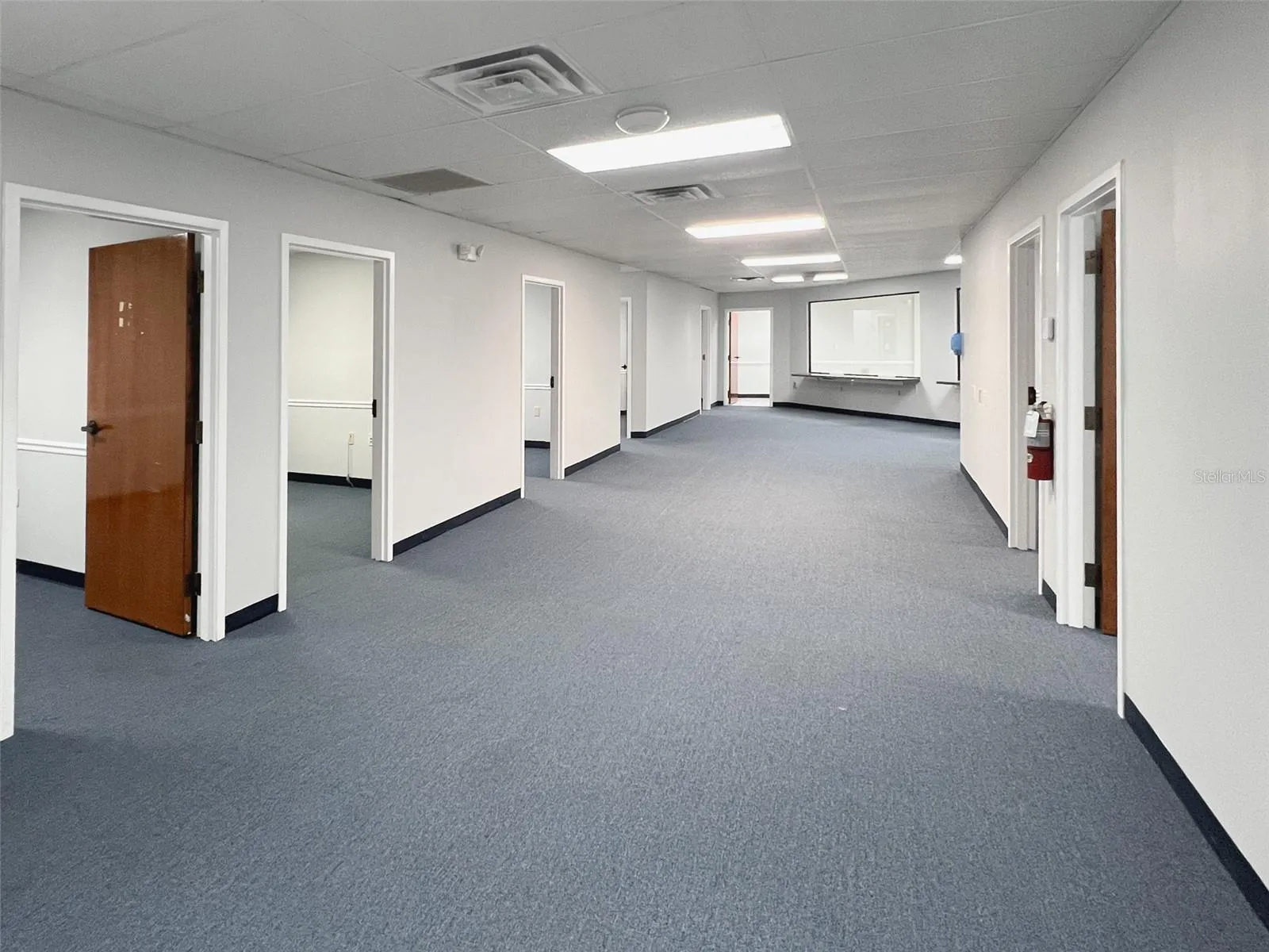 Lots of open space and individual offices