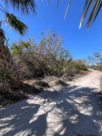 Road view