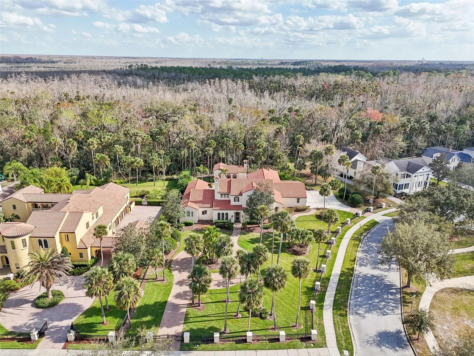 Largest single Lot in Celebration
