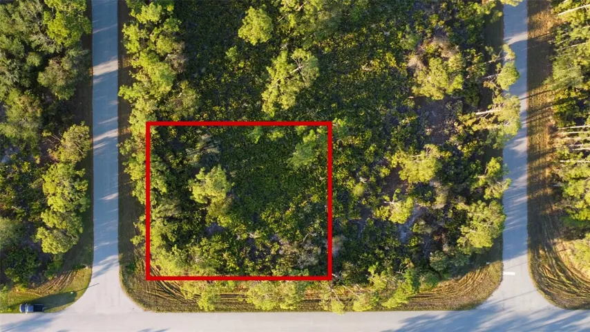 12214 Quinlan Ave, Port Charlotte, FL 33981