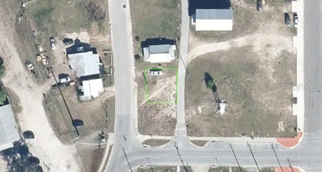 Birds Eye