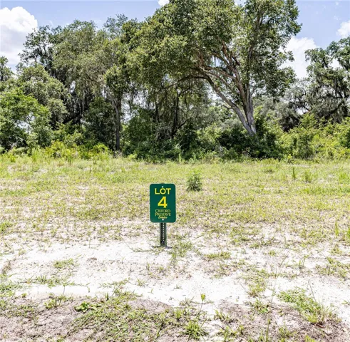 Lot #4 Oxford Preserve