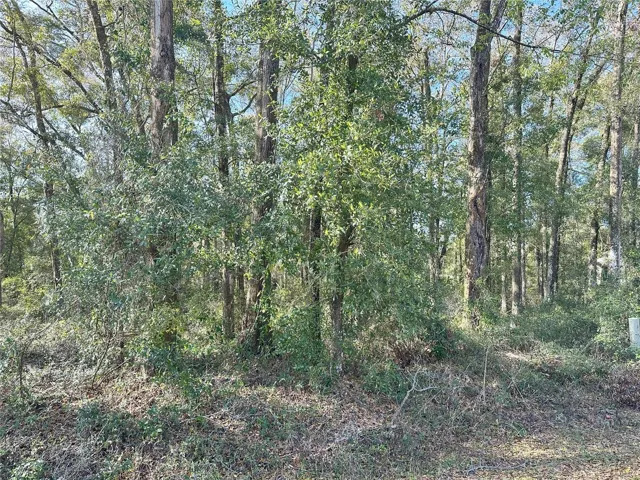NW 55th Place (Corner Lot)