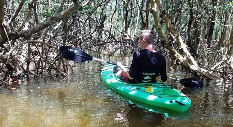 Explore Nature at its finest