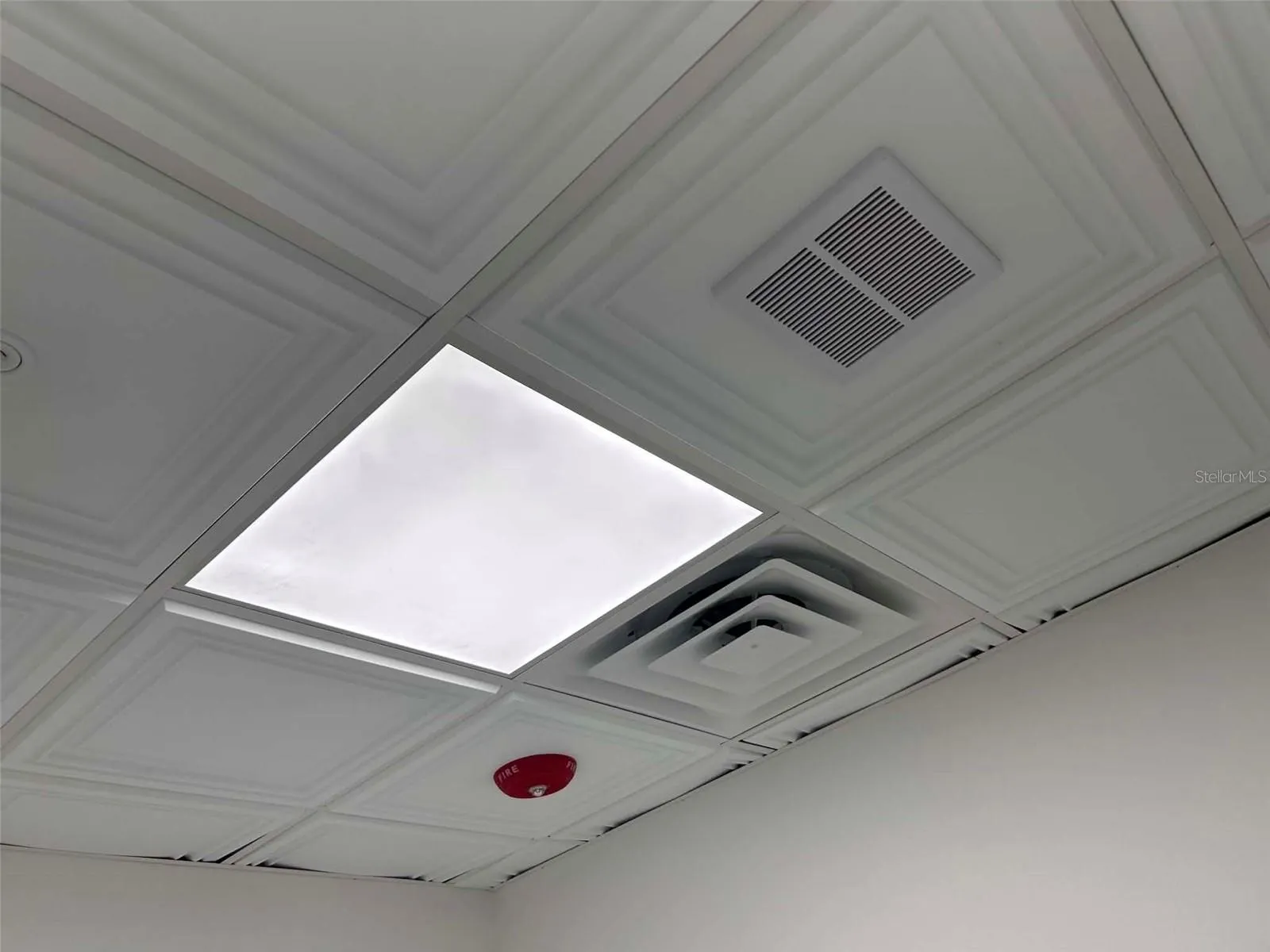Bathroom Ceiling