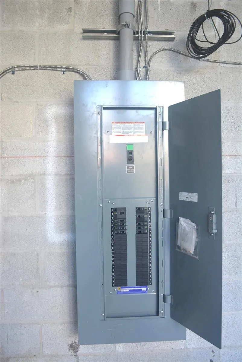 Electric Panel Before