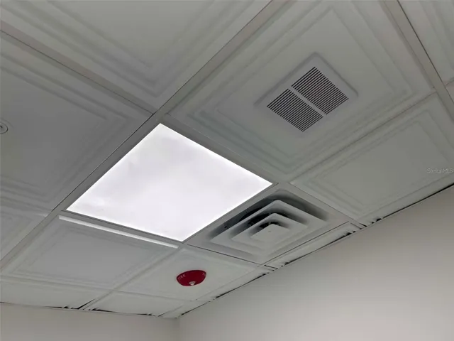 Bathroom Ceiling