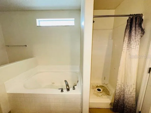 Garden Tub and Shower