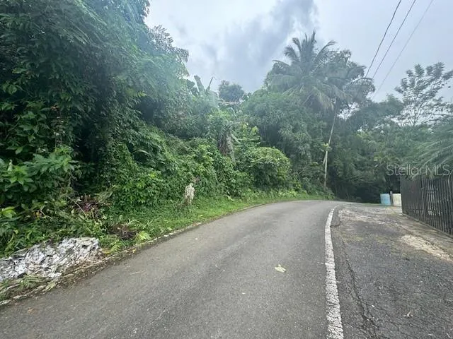 Street