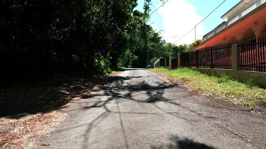 Street