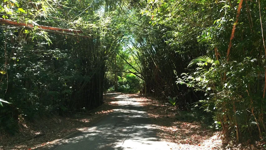 Street