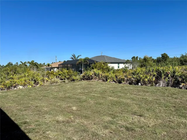 back yard