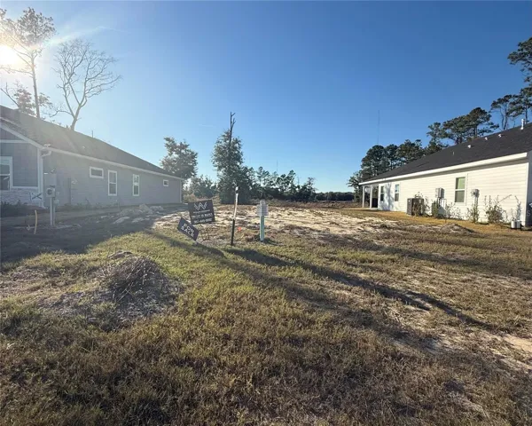 Current photo 1/1/26, Lot 232