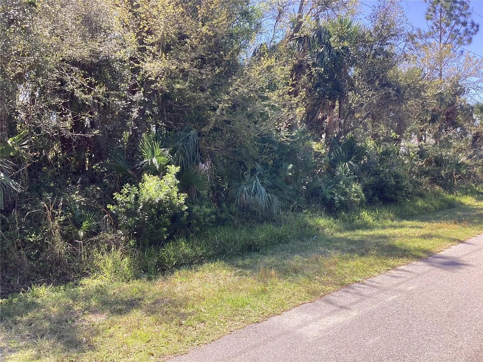 Front of vacant lot