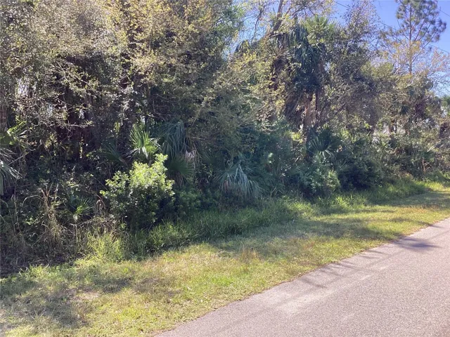 Front of vacant lot