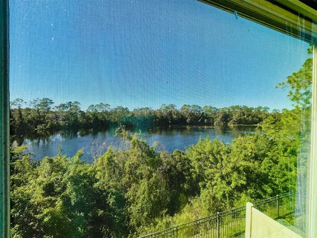 Primary Bedroom View