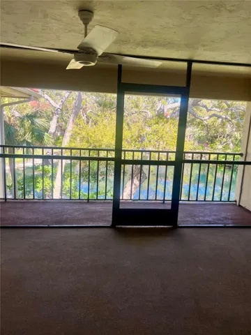 View from Screened Patio