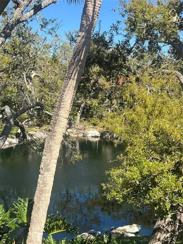 View from Balcony