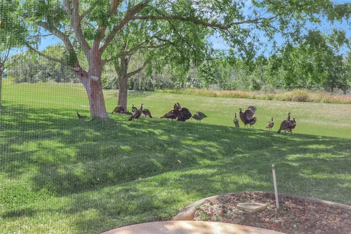 and wildlife