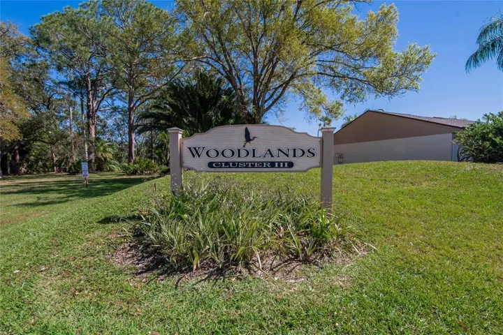Woodlands Cluster III neighborhood